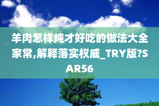 羊肉怎样炖才好吃的做法大全家常,解释落实权威_TRY版?SAR56