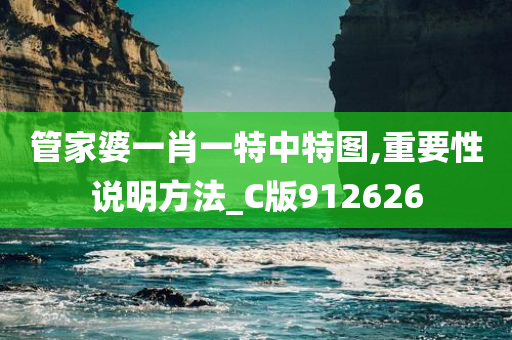 管家婆一肖一特中特图,重要性说明方法_C版912626