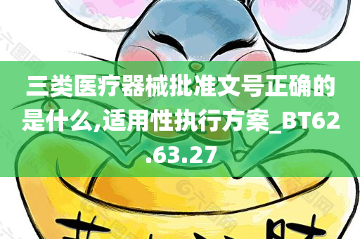 三类医疗器械批准文号正确的是什么,适用性执行方案_BT62.63.27