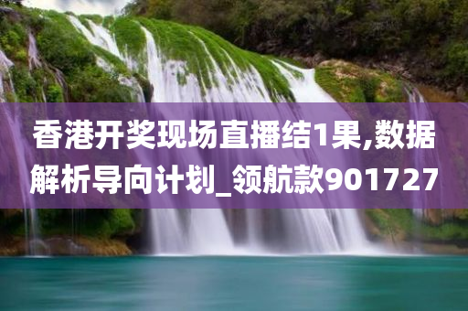 香港开奖现场直播结1果,数据解析导向计划_领航款901727