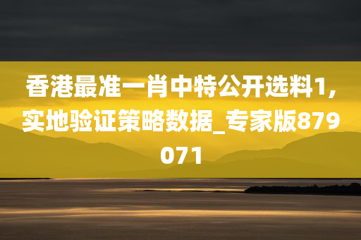 香港最准一肖中特公开选料1,实地验证策略数据_专家版879071