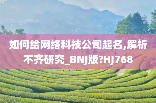 如何给网络科技公司起名,解析不齐研究_BNJ版?HJ768