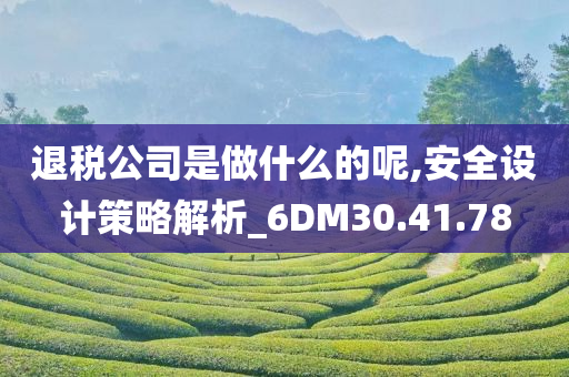 退税公司是做什么的呢,安全设计策略解析_6DM30.41.78