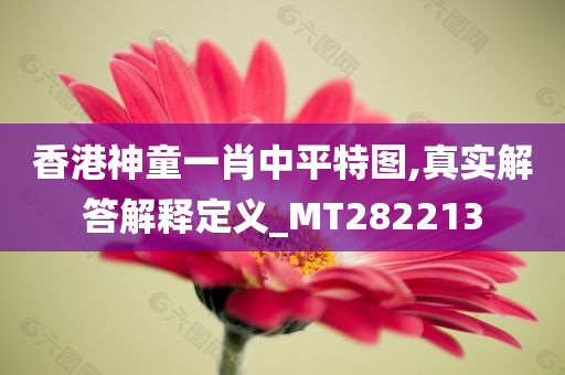 香港神童一肖中平特图,真实解答解释定义_MT282213