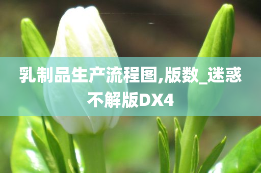 乳制品生产流程图,版数_迷惑不解版DX4