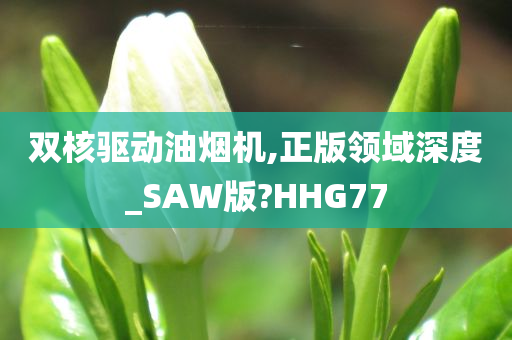 双核驱动油烟机,正版领域深度_SAW版?HHG77