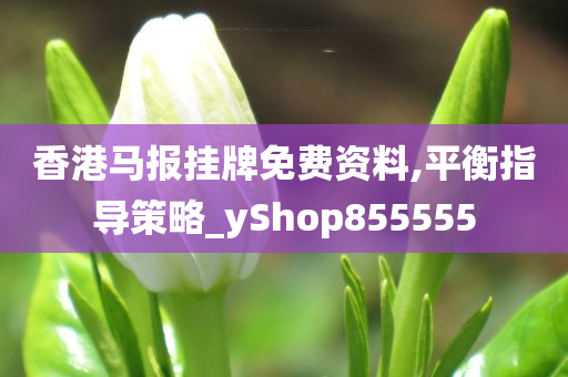 香港马报挂牌免费资料,平衡指导策略_yShop855555