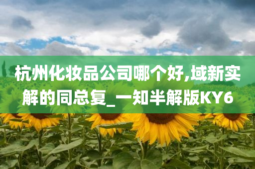 杭州化妆品公司哪个好,域新实解的同总复_一知半解版KY6