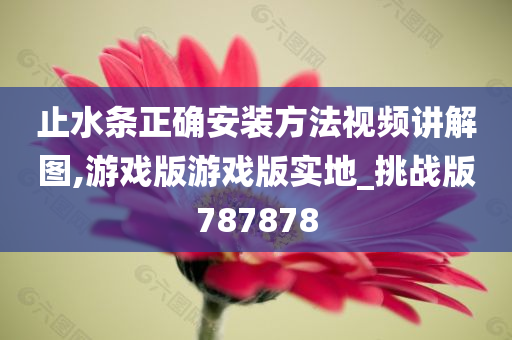 止水条正确安装方法视频讲解图,游戏版游戏版实地_挑战版787878