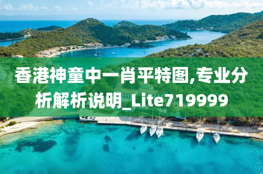 香港神童中一肖平特图,专业分析解析说明_Lite719999