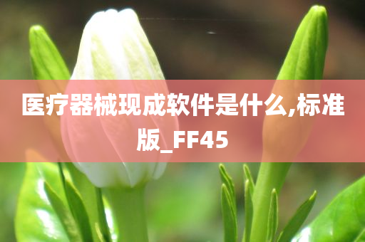 医疗器械现成软件是什么,标准版_FF45