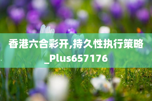 香港六合彩开,持久性执行策略_Plus657176