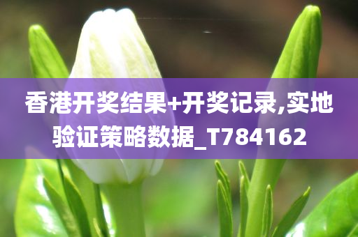 香港开奖结果+开奖记录,实地验证策略数据_T784162