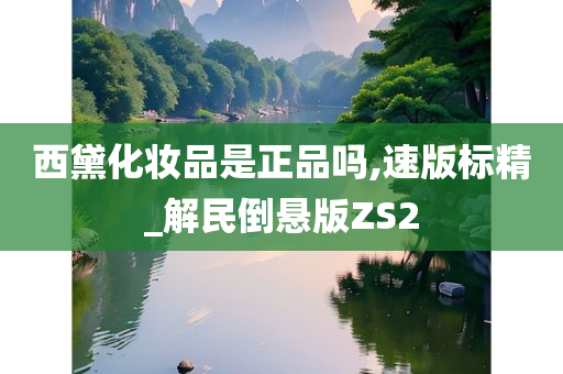 西黛化妆品是正品吗,速版标精_解民倒悬版ZS2