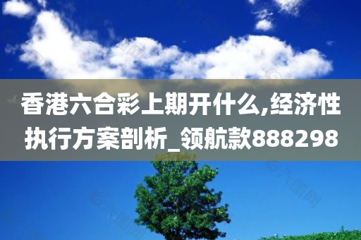 香港六合彩上期开什么,经济性执行方案剖析_领航款888298