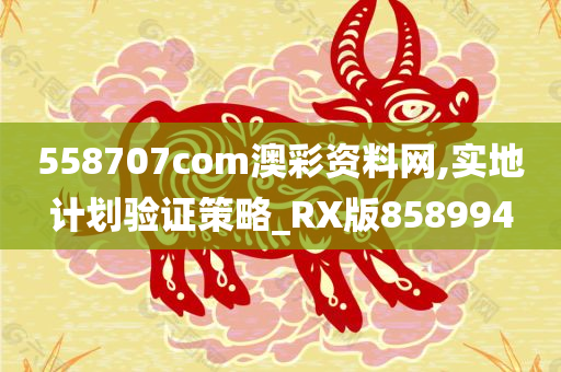 558707com澳彩资料网,实地计划验证策略_RX版858994