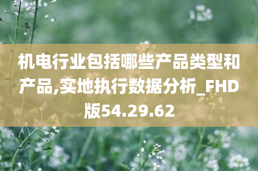 机电行业包括哪些产品类型和产品,实地执行数据分析_FHD版54.29.62