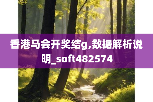 香港马会开奖结g,数据解析说明_soft482574