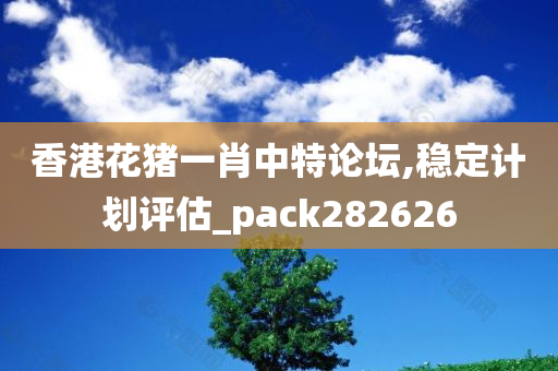 香港花猪一肖中特论坛,稳定计划评估_pack282626