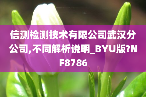 信测检测技术有限公司武汉分公司,不同解析说明_BYU版?NF8786