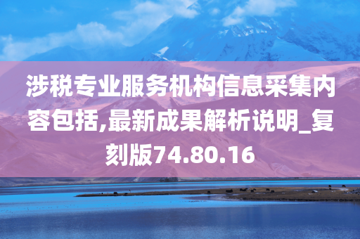 涉税专业服务机构信息采集内容包括,最新成果解析说明_复刻版74.80.16