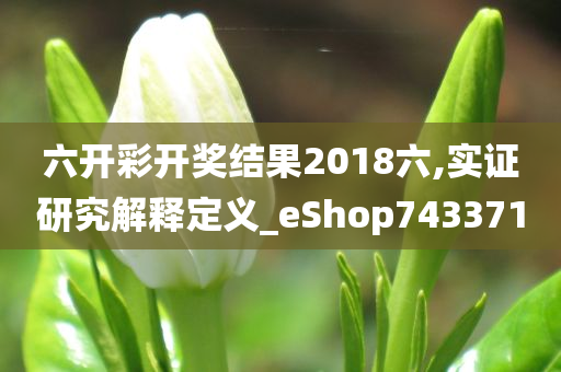 六开彩开奖结果2018六,实证研究解释定义_eShop743371