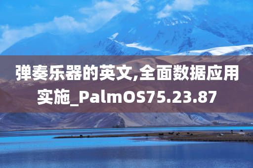 弹奏乐器的英文,全面数据应用实施_PalmOS75.23.87