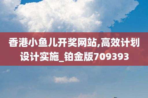 香港小鱼儿开奖网站,高效计划设计实施_铂金版709393