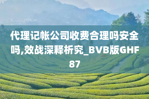 代理记帐公司收费合理吗安全吗,效战深释析究_BVB版GHF87