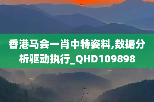 香港马会一肖中特姿料,数据分析驱动执行_QHD109898