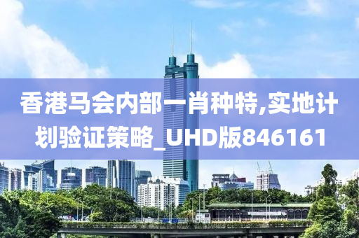 香港马会内部一肖种特,实地计划验证策略_UHD版846161