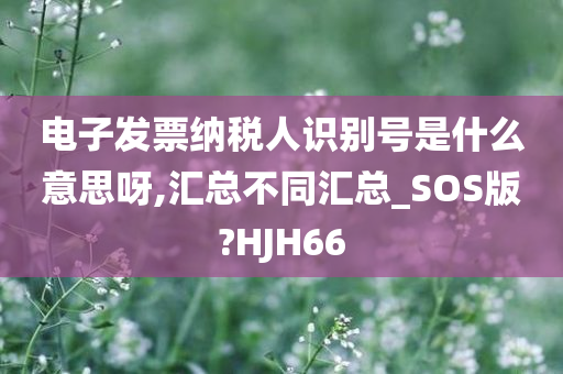 电子发票纳税人识别号是什么意思呀,汇总不同汇总_SOS版?HJH66