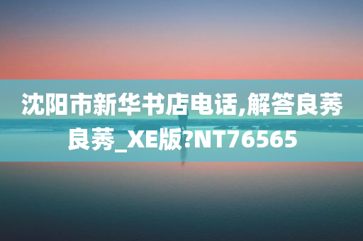 沈阳市新华书店电话,解答良莠良莠_XE版?NT76565