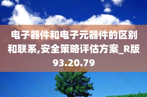 电子器件和电子元器件的区别和联系,安全策略评估方案_R版93.20.79