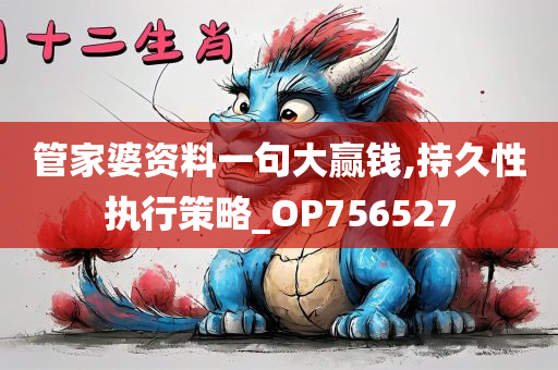 管家婆资料一句大赢钱,持久性执行策略_OP756527