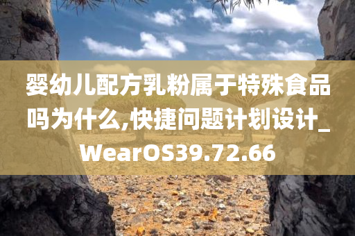 婴幼儿配方乳粉属于特殊食品吗为什么,快捷问题计划设计_WearOS39.72.66