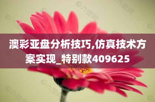 澳彩亚盘分析技巧,仿真技术方案实现_特别款409625