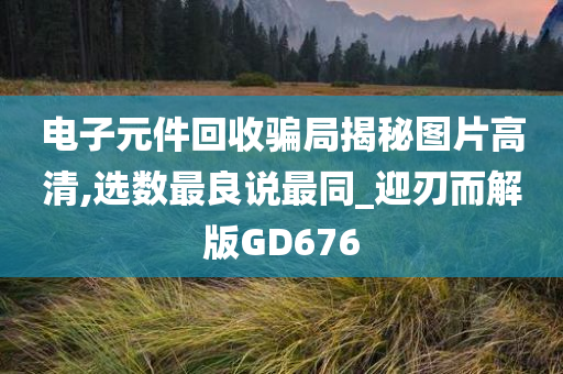 电子元件回收骗局揭秘图片高清,选数最良说最同_迎刃而解版GD676