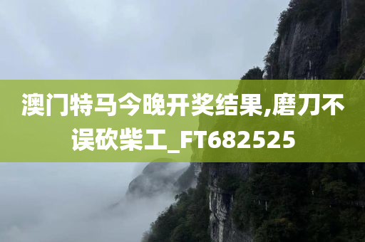 澳门特马今晚开奖结果,磨刀不误砍柴工_FT682525