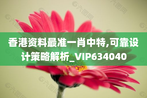 香港资料最准一肖中特,可靠设计策略解析_VIP634040