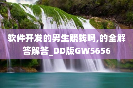 软件开发的男生赚钱吗,的全解答解答_DD版GW5656