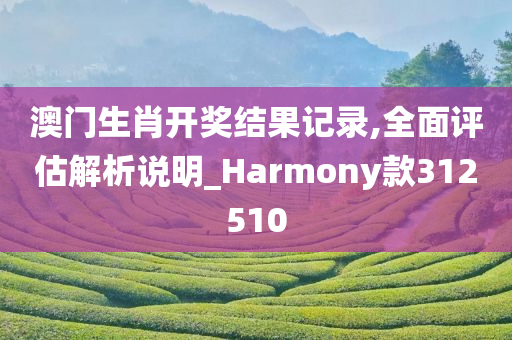 澳门生肖开奖结果记录,全面评估解析说明_Harmony款312510