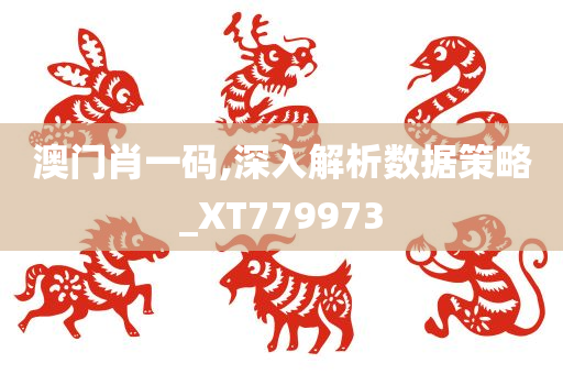 澳门肖一码,深入解析数据策略_XT779973