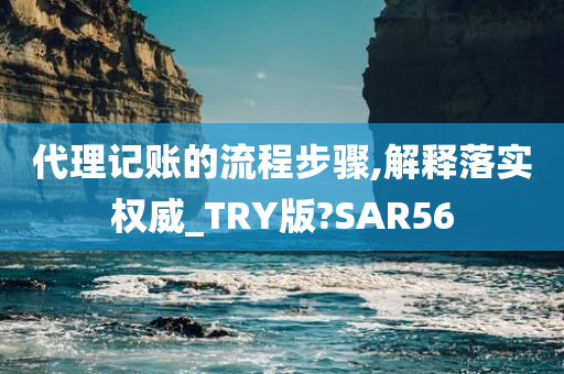 代理记账的流程步骤,解释落实权威_TRY版?SAR56