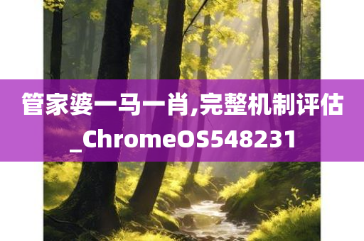 管家婆一马一肖,完整机制评估_ChromeOS548231