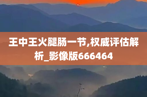 王中王火腿肠一节,权威评估解析_影像版666464