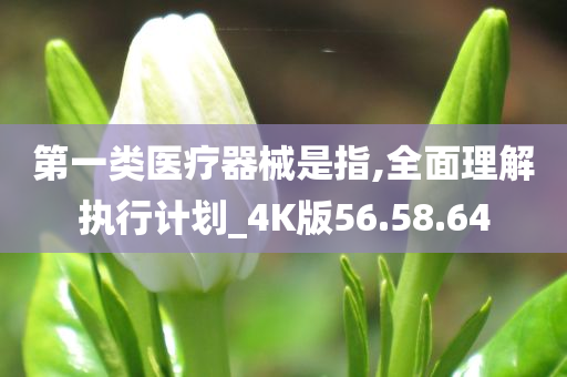 第一类医疗器械是指,全面理解执行计划_4K版56.58.64