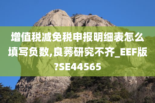 增值税减免税申报明细表怎么填写负数,良莠研究不齐_EEF版?SE44565