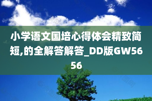 小学语文国培心得体会精致简短,的全解答解答_DD版GW5656