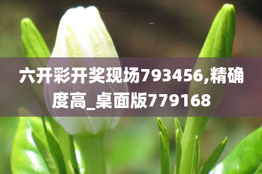 六开彩开奖现场793456,精确度高_桌面版779168